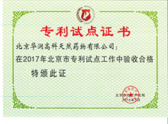 專(zhuān)利試點(diǎn)證書(shū)