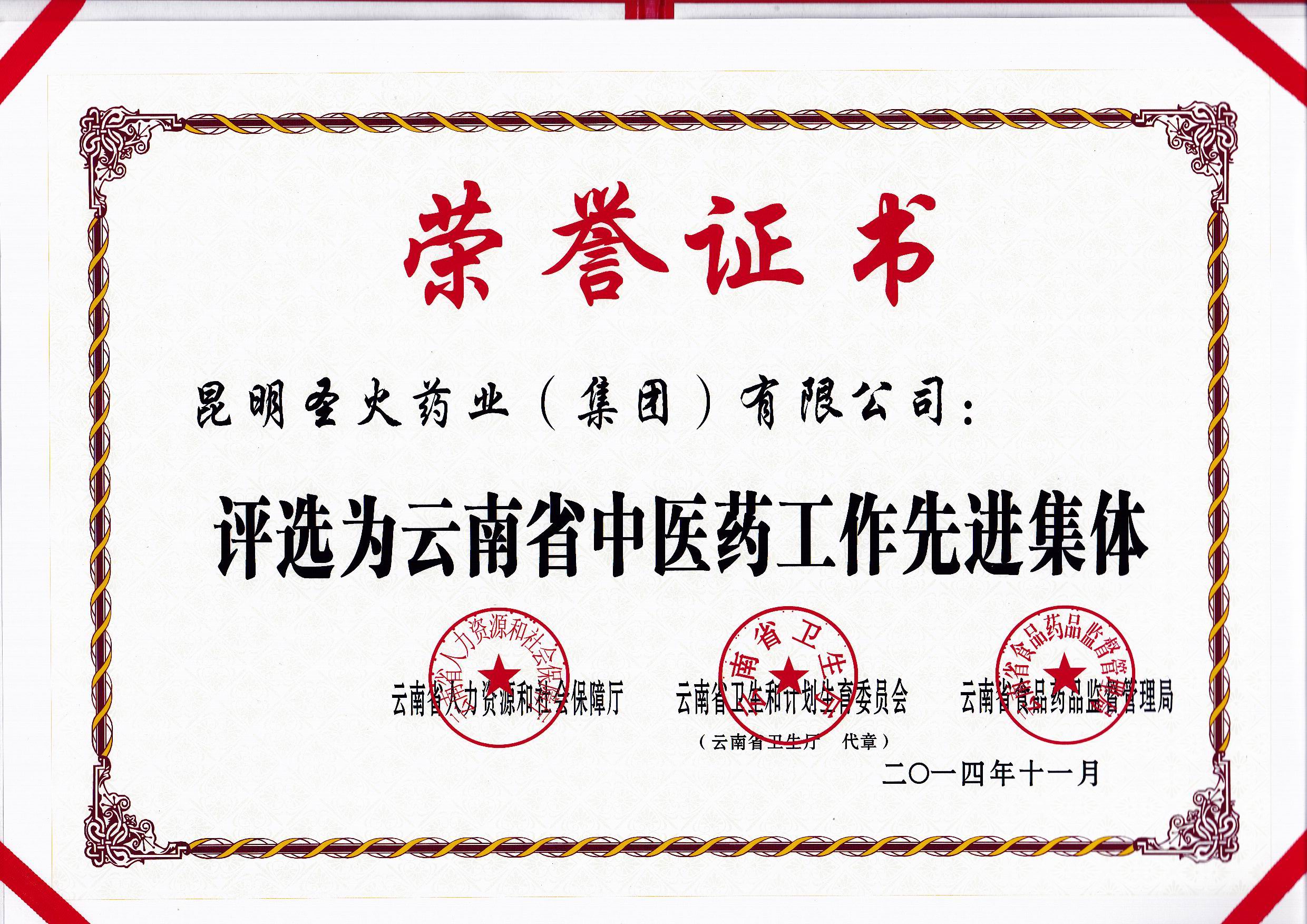 云南省中醫藥工作先進(jìn)集團