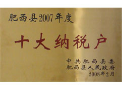 肥西縣2007年度十大納稅戶(hù)